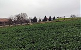 działki Sprzedaż pow. wielicki